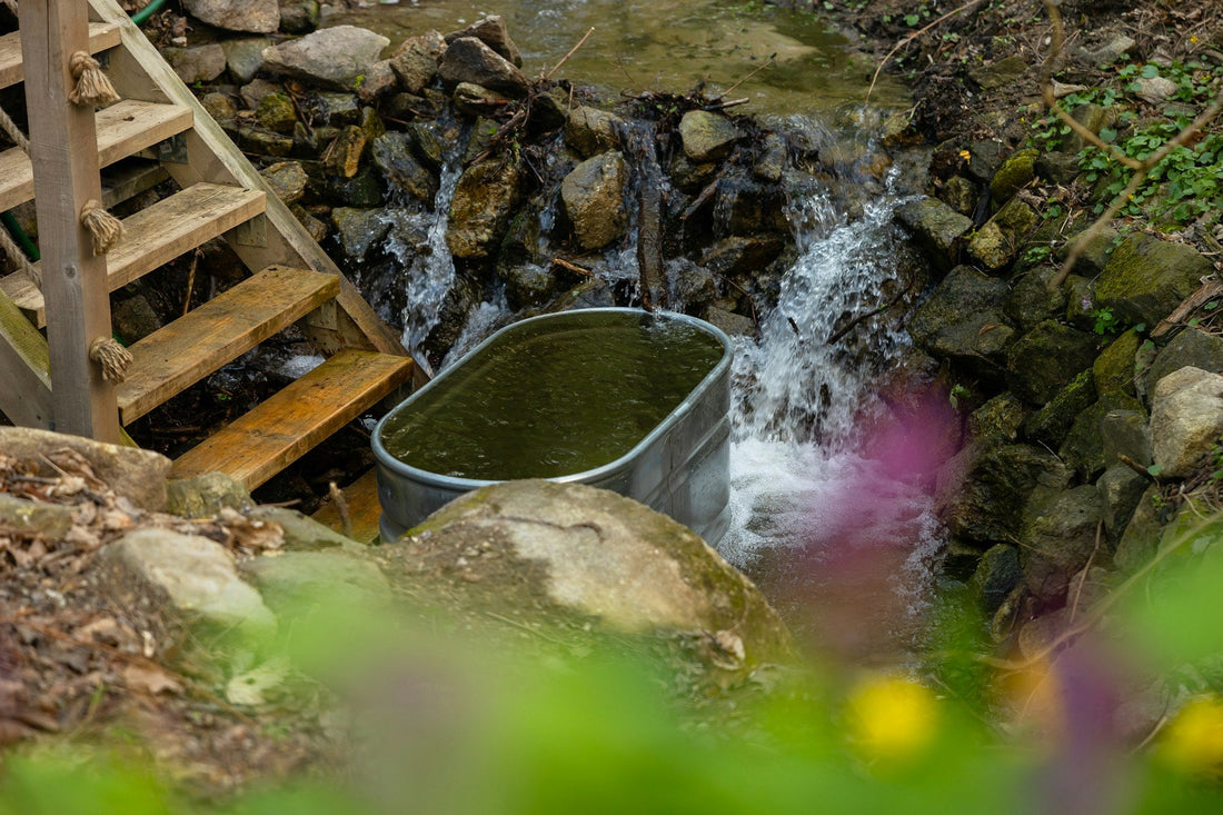 Nature ice bath beside a forest stream for Naturelty Wild & Well
