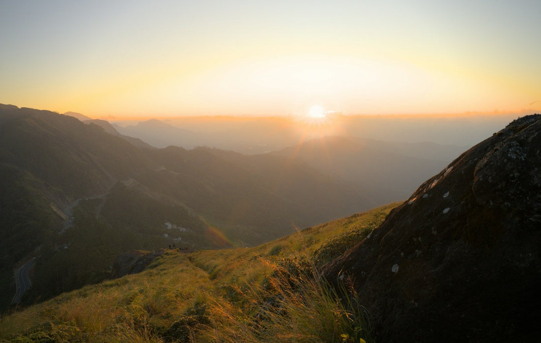 Western Ghats landscape for planning a Naturelty Wild & Well wellness trip