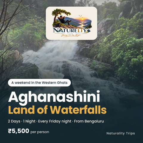 Land of Waterfalls