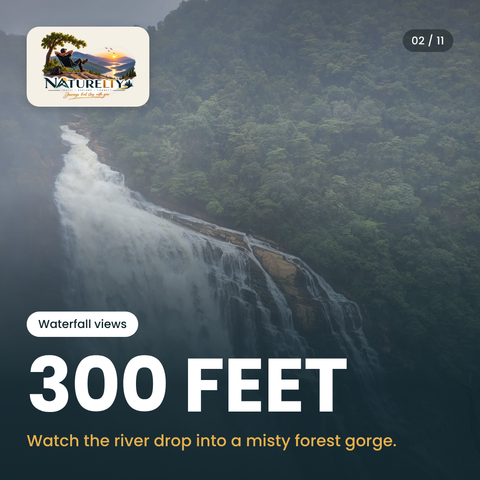 300 Feet