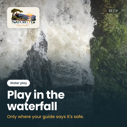 Play in the Waterfall
