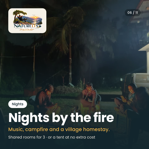 Nights by the Fire