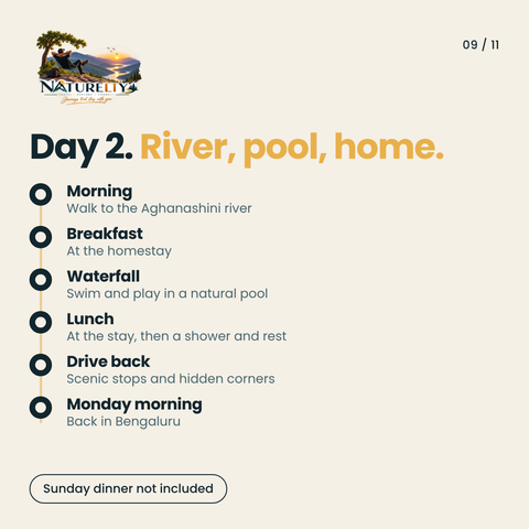 Day 2 Itinerary