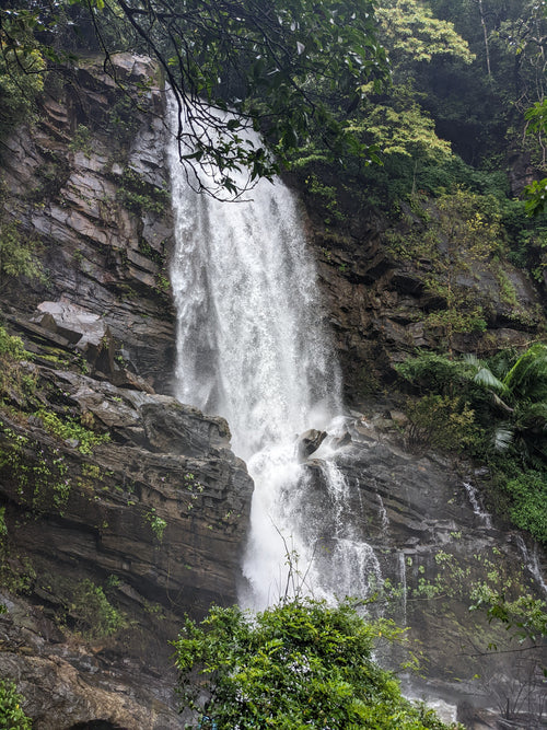 Naturelty trip photo