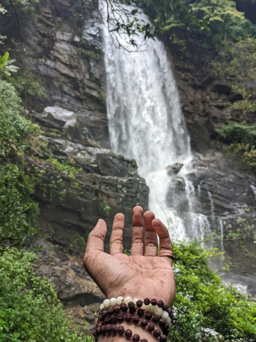 Naturelty trip photo
