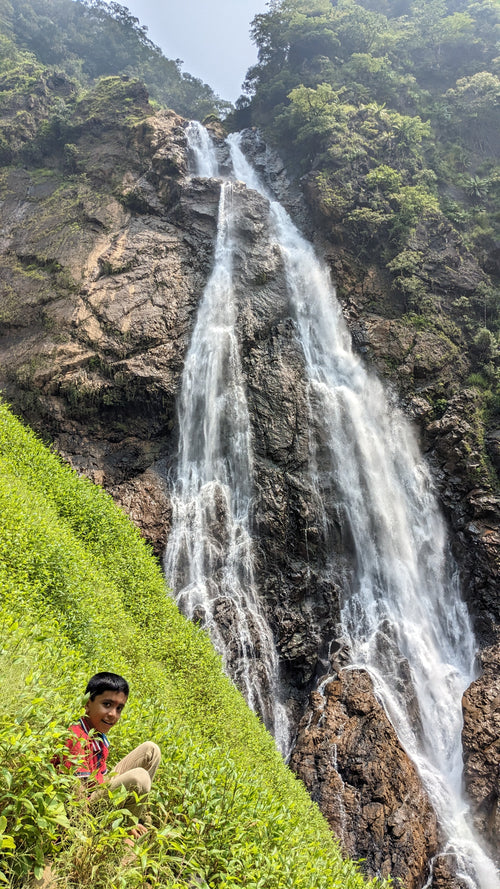 Naturelty trip photo