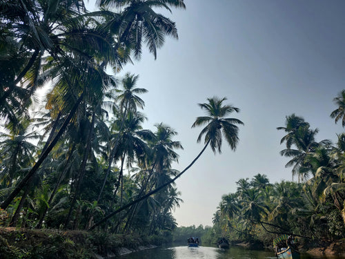Honnavar backwaters