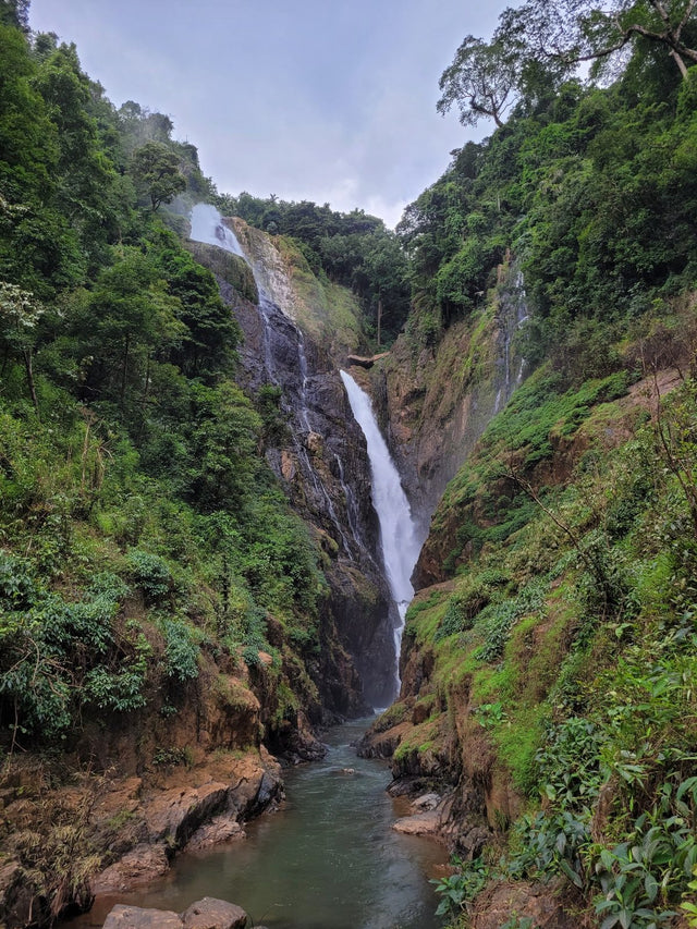 Mattighatta Waterfalls in the Western Ghats