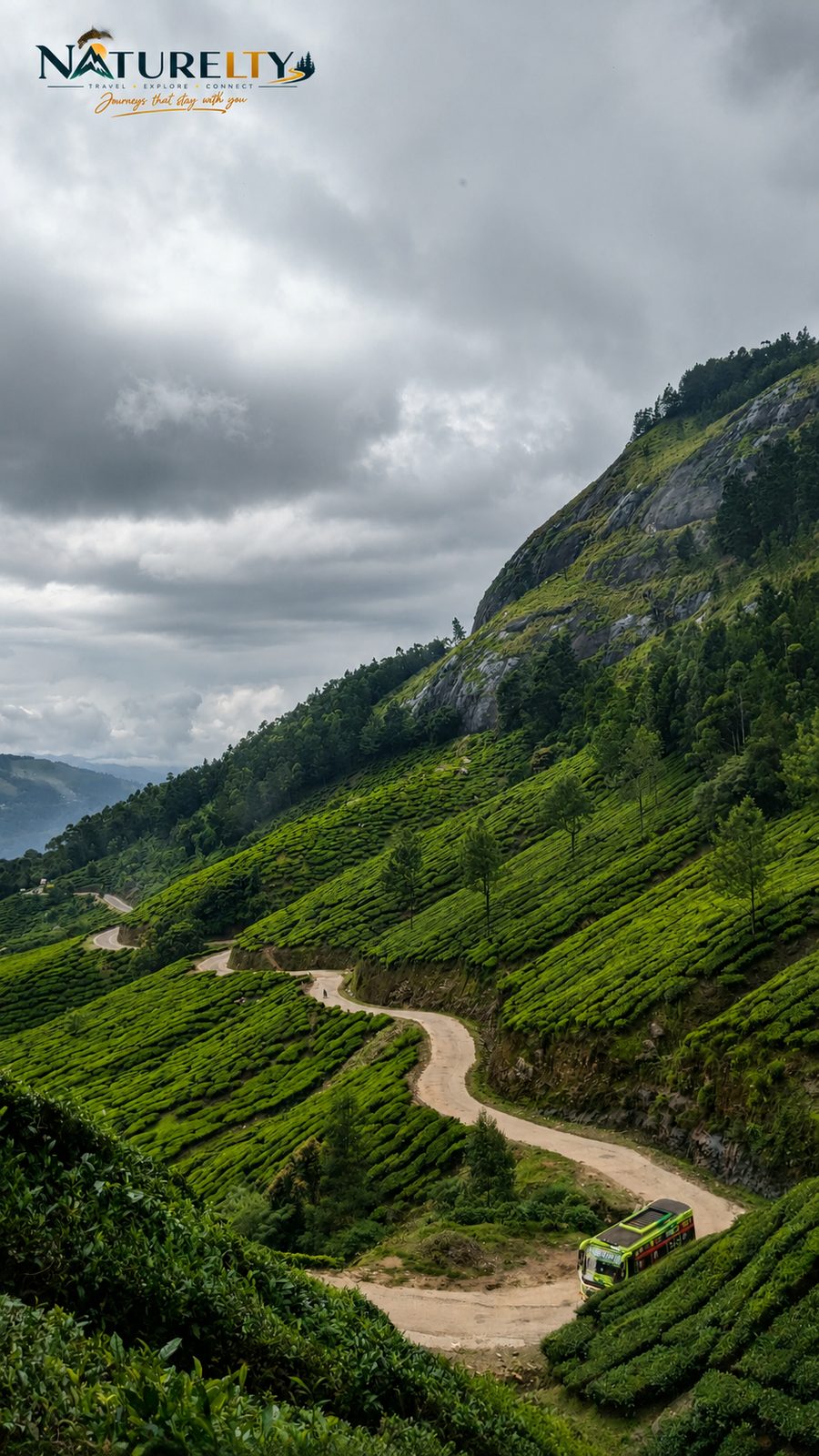 Monsoon Munnar