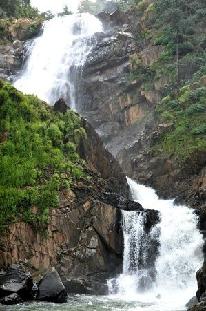 Road Trip to Waterfalls & Beaches