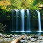 Placeholder — waterfall and coastal greenery, to be replaced with real trip photos