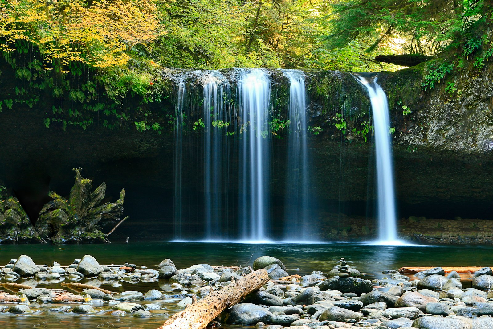 Waterfall deep in a green forest